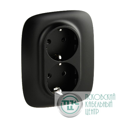 Розетка 2-м СП Valena Allure 16А IP20 250В 2х2P+E защ. шторки безвинт. клеммы с лицев. панелью антрацит Leg 753936