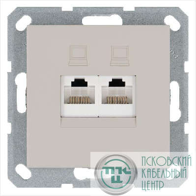 Розетка компьютерная 2-м RJ45 IP20 кат. 5E механизм тауп Jasmart G6106T