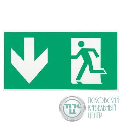 Этикетка самоклеящаяся INFO-SSA-118 бэклит "Человек-стрелка-вниз" для SSA-103 зел. Эра Б0057714