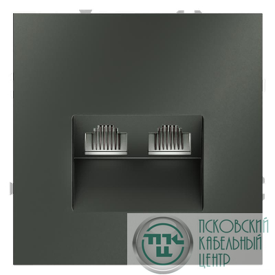 Розетка компьютерная 2-м СП S70 RJ45 + RJ45 кат.6 механизм титан Voltum VLS060206