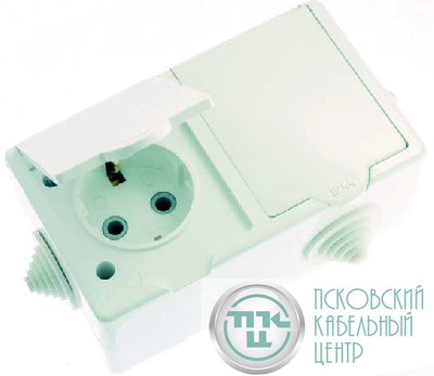 Розетка 2-м ОП РА16-759 16А IP44 с заземл. ПГ бел. Кунцево 5907