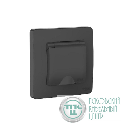 Розетка 1-м СП Blanca 16А IP44 250В с заземл. защ. шторки с крышкой антрацит SE BLNRS441116