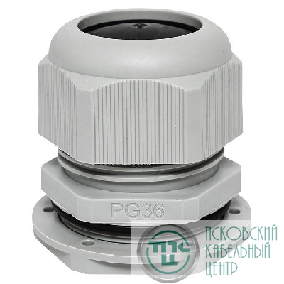 Сальник PG36 IP54 отв. d46мм провод d22-32мм (уп.1шт) PROxima EKF plc-pg-36-1-r