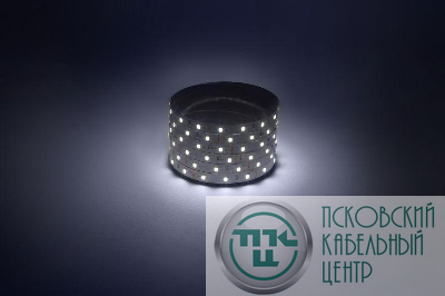 Лента светодиодная LS2835-4.8-60-12-6500K-IP20-1 year-5m (уп.5м) ЭРА Б0035586