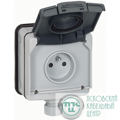 Розетка ОП Plexo 16А 2P+3 IP66 защ. шторки сер. Leg 090466