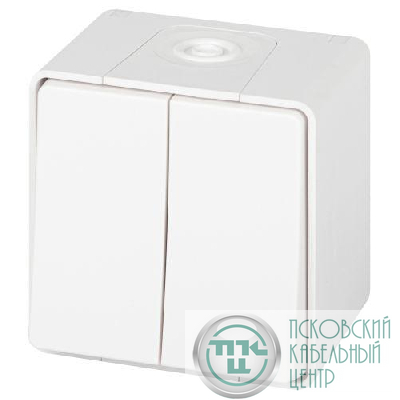 Переключатель Эксперт 11-1506-01 двойн. IP55 10АХ-250В ОУ бел. Эра Б0063295