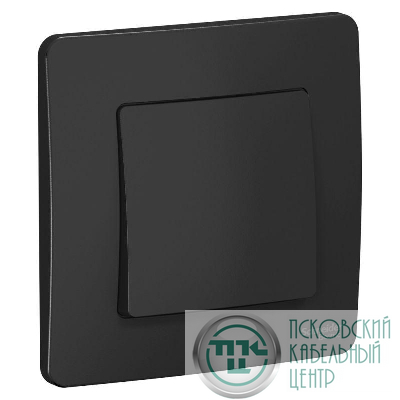 Переключатель проходной 1-кл. СП Blanca 10А IP20 (сх. 6) 250В антрацит SE BLNVS010606