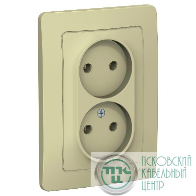 Розетка 2-м СП Blanca 16А IP20 250В без заземл. без защ. шторок беж. SE BLNRS000027