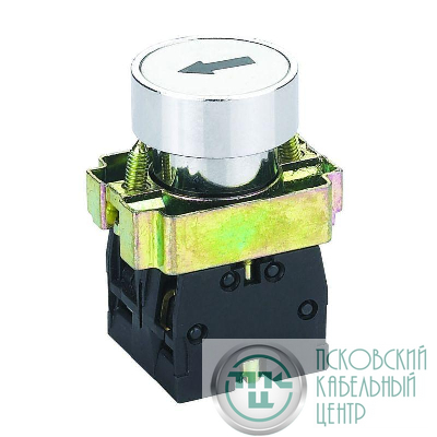 Кнопка управления NP2-BA1345 маркировкой 1НО+1НЗ IP40 (R) CHINT 576037