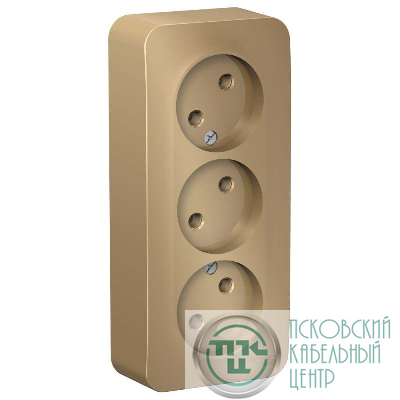 Розетка 3-м ОП Blanca 16А IP20 250В без заземл. без защ. шторок с изолир. пластиной титан SE BLNRA000314