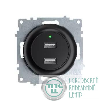 Розетка USB 2-м СП Florence 16А IP20 с подсветкой механизм черн. (1E10351303) OneKeyElectro 2260092
