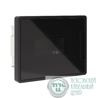 Щиток встраиваемый Фрейм (FRAME) ЩРв-п-8 8мод. с тонированной дверцей с 2 шинами PEN на 6 и 8 отверст. черн. DKC F08B1BD