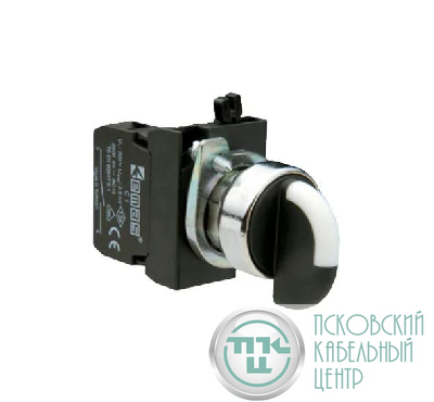Переключатель 2-0-1 с фиксацией (1НО+1НЗ) EMAS CP102S30