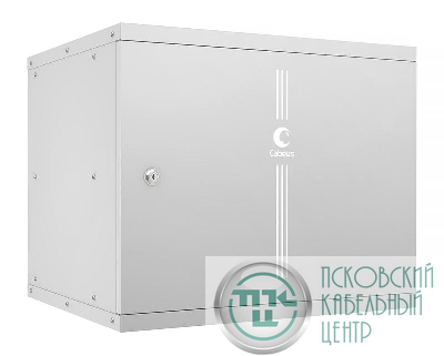 Шкаф телекоммуникационный настенный разборный LIGHT WSC-05D-9U55/45m 19дюйм 9U дверь метал. сер. Cabeus 10177c