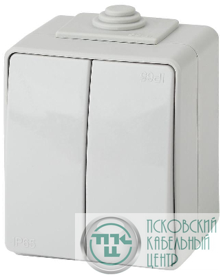 Переключатель 2-кл. ОП Эра Эксперт 10А IP65 11-1606-03 250В 10AX сер. Эра Б0035979