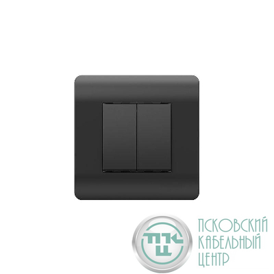 Переключатель 2-кл. NEW3-E 10А черн. CHINT 431468