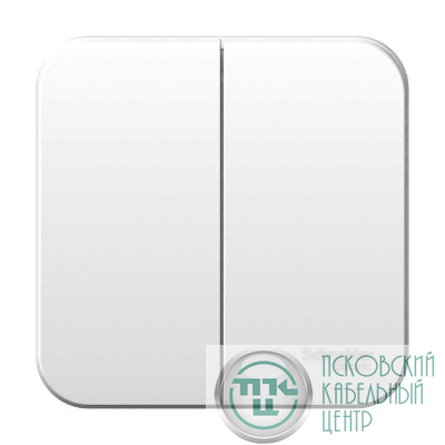 Выключатель 2-кл. ОП Blanca 6А IP20 (сх. 5) 250В бел. SE BLNVA065001