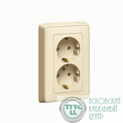 Розетка 2-м СП Cariva 16А IP20 2х2P+E немецк. стандарт сл. кость (DIY-упак.) Leg 695918