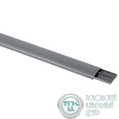 Кабель-канал напольный 50х12 L2000 RAL 7046 сер. KK-50-12-FG Эра Б0064436