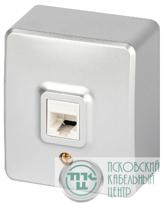 Розетка Эксперт 11-3203-03 информационная RJ45 IP20 ОУ алюм. Эра Б0063009