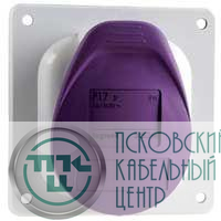 Розетка встраиваемая P17 32А 24В 2P IP44 Leg 055295