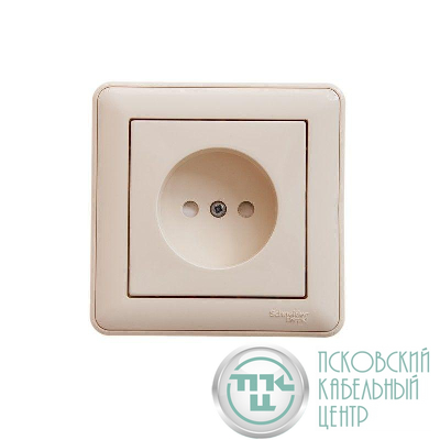Розетка 1-м СП W59 16А IP20 защ. шторки без заземл. сл. кость SchE RS16-151-28