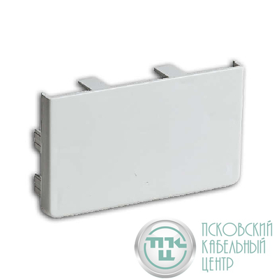 Заглушка для кабель-канала РКК 100х60/40 бел. Ruvinil ЗГЛ-100х60