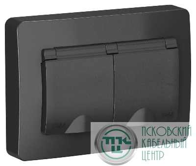 Розетка 2-м СП Blanca 16А IP44 250В с заземл. защ. шторки с крышкой антрацит SE BLNRS441126