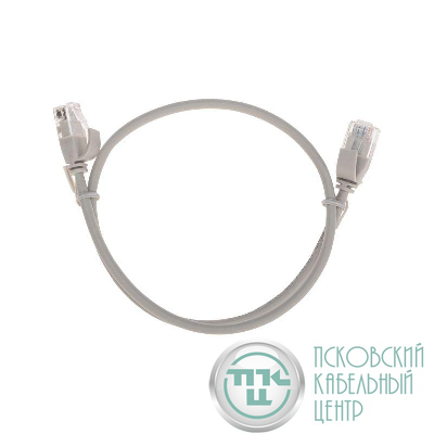 Патч-корд U/UTP CAT 6A (10G) RJ45-RJ45 28AWG LSZH сер. 0.5м Rexant 02-0380-05