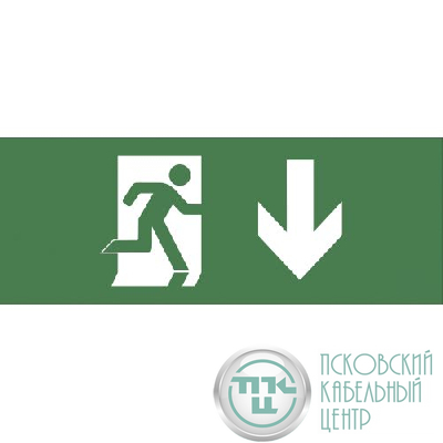 Этикетка самоклеящаяся 350х130мм "Фигура/стрелка вниз" SSA-101 INFO-SSA-103 ЭРА Б0048472