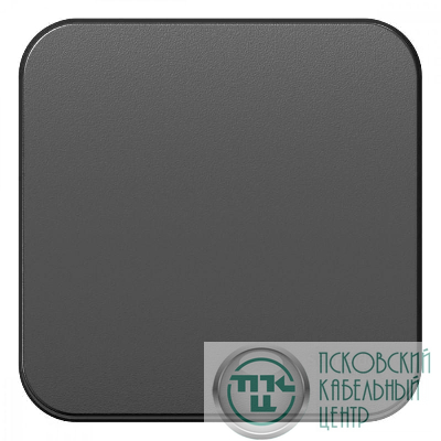 Выключатель 1-кл. ОП Blanca 10А IP20 (сх. 1) 250В с изолир. пластиной антрацит SE BLNVA101016