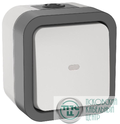 Переключатель 1-кл. ОП TORS 10А IP55 TS202 с индикацией бел. IEK TS-V10-1-10-55-K41