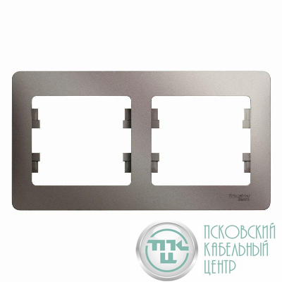 Рамка 2-м Glossa горизонт. платина SE GSL001202