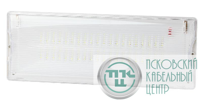 Светильник светодиодный DPA-301-0-65 40LED 3ч IP65 аварийный непостоянный Эра Б0044405