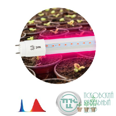 Лампа светодиодная FITO-18W-RB-Т8-G13-NL 18Вт T8 линейная 96LED 2835 IP20 35000ч для растений красн./син. спектр стекло Эра Б0042990