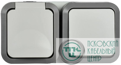 Блок ОП розетка + выключ. горизонт. TORS 16А IP55 TS242 бел. IEK TS-G10-6-55-V-K41