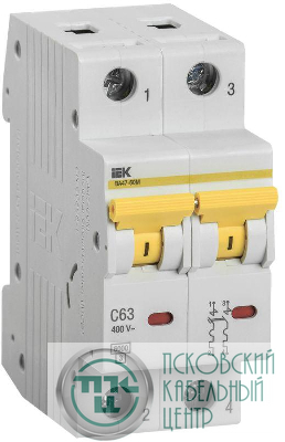 Выключатель автоматический модульный 2п C 63А 6кА ВА47-60M IEK MVA31-2-063-C