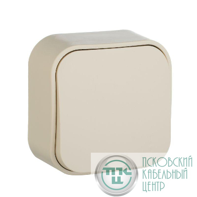 Выключатель 1-кл. ОП Quteo 10А IP20 10AX сл. кость IEK 782230