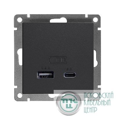 Розетка 2-м USB СП Афина тип А+С 5В 1х2.4А 2х4А механизм графит Universal А0059-Gr