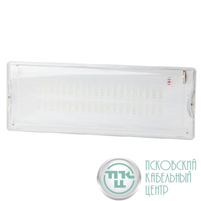 Светильник светодиодный DPA-301-0-65 IP65 40LED 3ч аварийный непостоянный Проектный Эра Б0044405