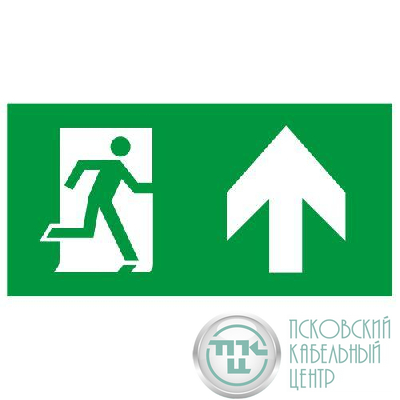 Этикетка самоклеящаяся INFO-SSA-127 бэклит 259х135мм Человек-стрелка-вверх зел. SSA-103 ЭРА Б0064714