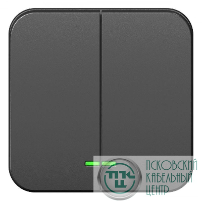 Выключатель 2-кл. ОП Blanca 10А IP20 (сх. 5) 250В с подсветкой с изолир. пластиной антрацит SE BLNVA105116