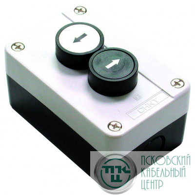 Пост кнопочный NP2-B222 1НО+1НО (R) CHINT 573941