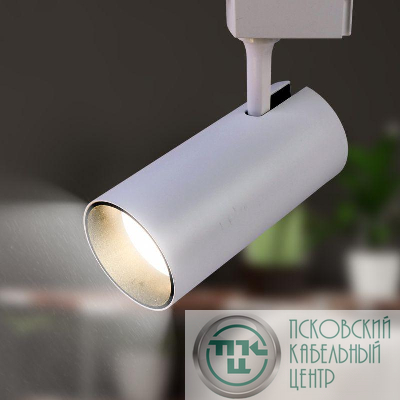 Светильник трековый TR5-30 30Вт COB 4000К 2100лм 1ф WH бел. Эра Б0049054