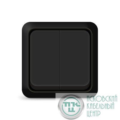 Выключатель 2-кл. ОП Олимп 10А IP20 черн. Universal 2213