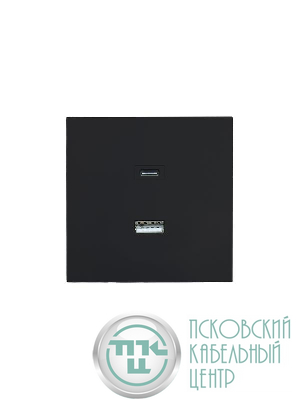 Розетка Type-C+ USB разъем СП ZIMA IP20 черн. бархат LEZARD 704-4288-192TC