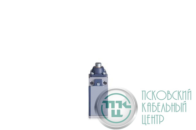 Выключатель концевой быстрого переключения линейный 1-но направленный с пластмас. консолью и стальным плунжером (1НО+1НЗ) EMAS L51K13PUM211