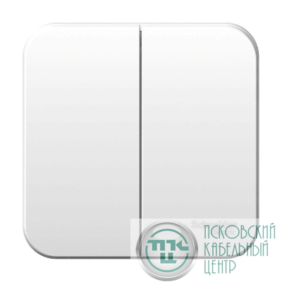 Выключатель 2-кл. ОП Blanca 10А IP20 (сх. 5) 250В с изолир. пластиной бел. SE BLNVA105011