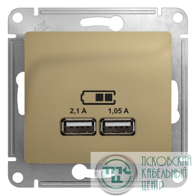 Розетка USB 2-м СП Glossa тип A+A 5В/2100мА 2х5В/1050мА механизм титан SE GSL000433