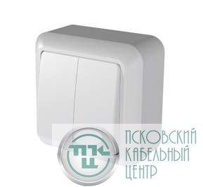 Выключатель 2-кл. ОП Оптима 10А IP20 А510-380 с монтаж. пластиной бел. Кунцево 8003